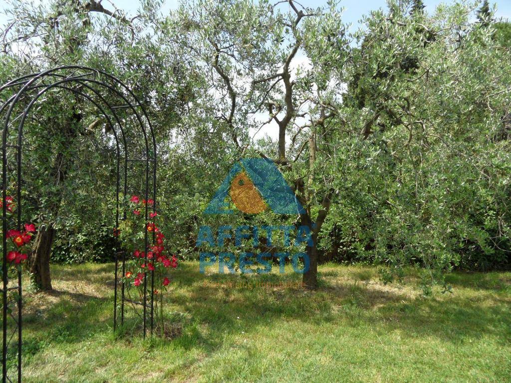 Appartamento in affitto a Montelupo Fiorentino