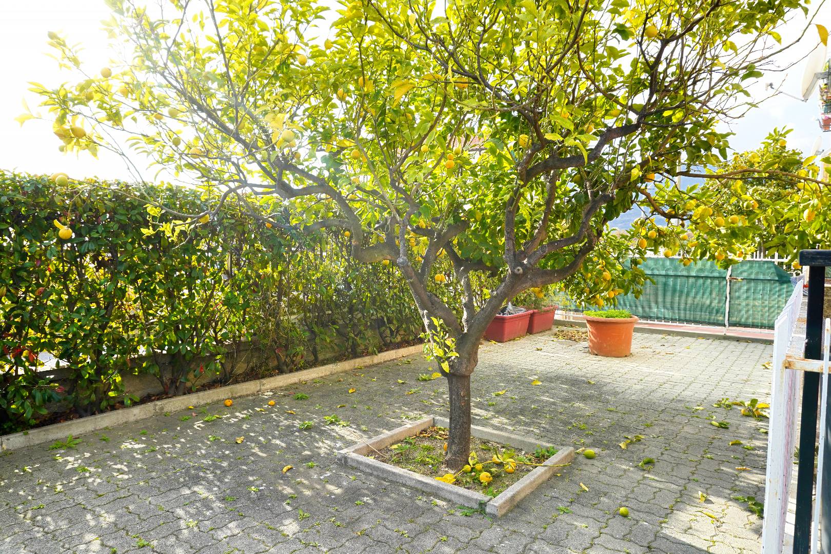 Appartamento in vendita a Loano