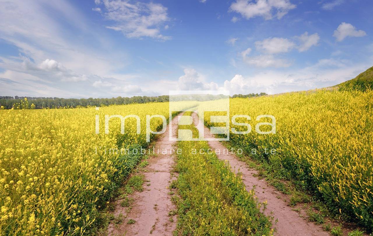 Terreno Agricolo in vendita a Preganziol, Frescada