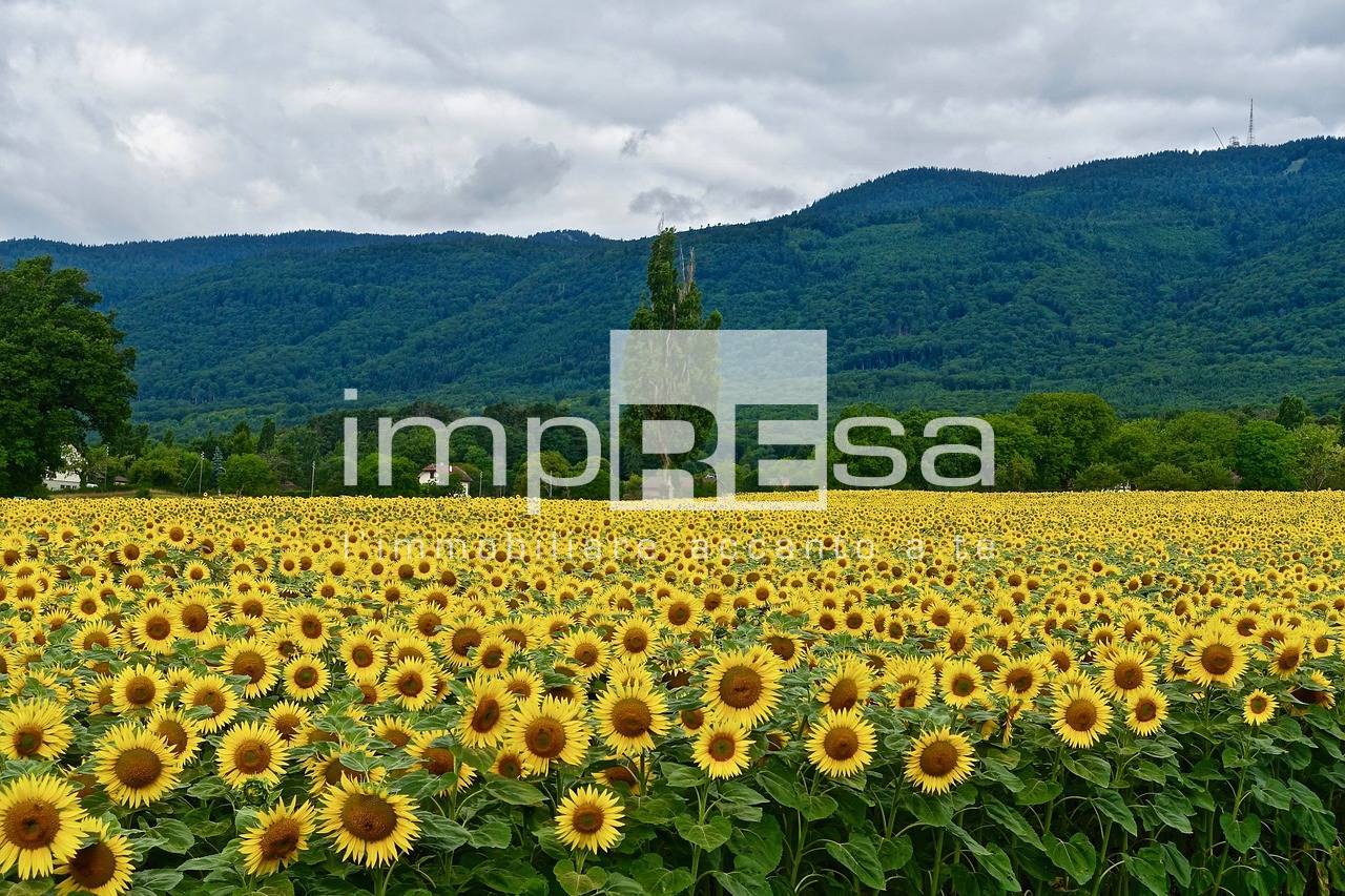 Terreno Agricolo in vendita a Preganziol, Frescada