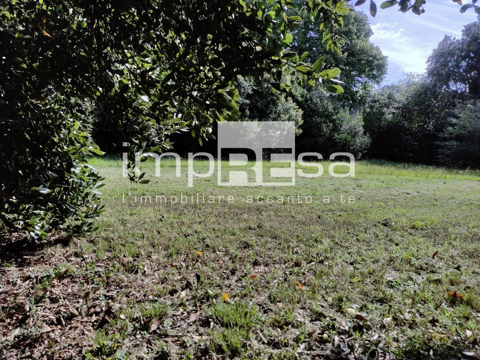 Terreno edificabile in vendita a Istrana