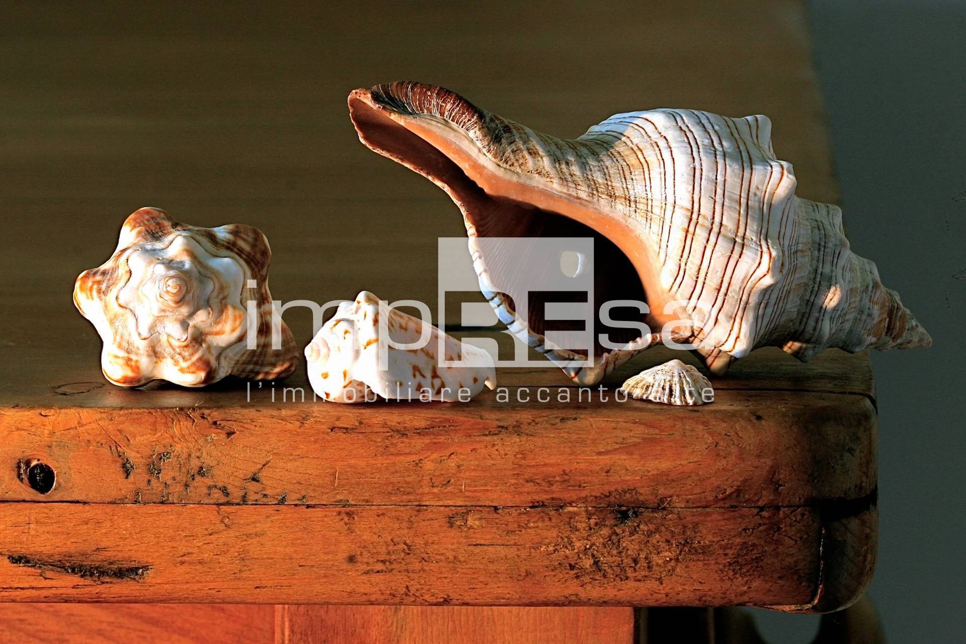 Appartamento in vendita a Istrana