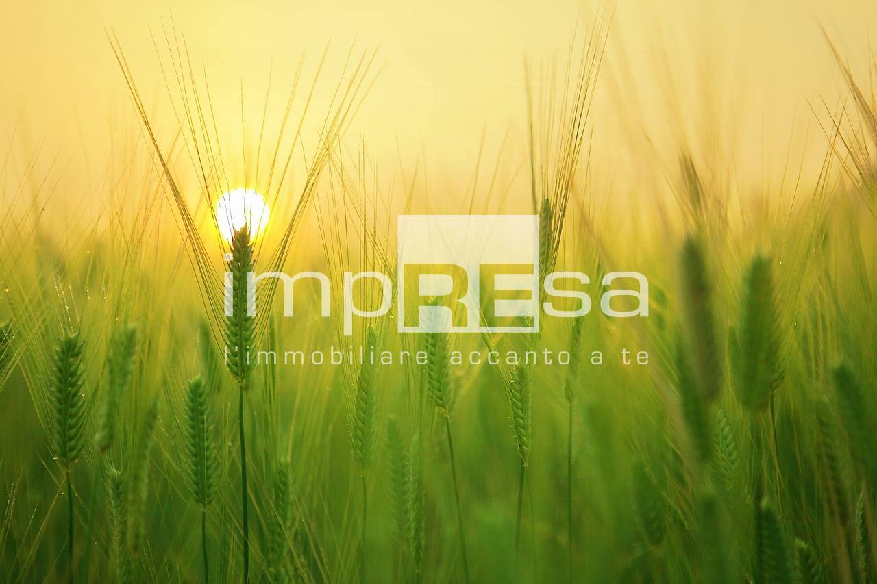 Terreno Agricolo in vendita a Paese, Porcellengo