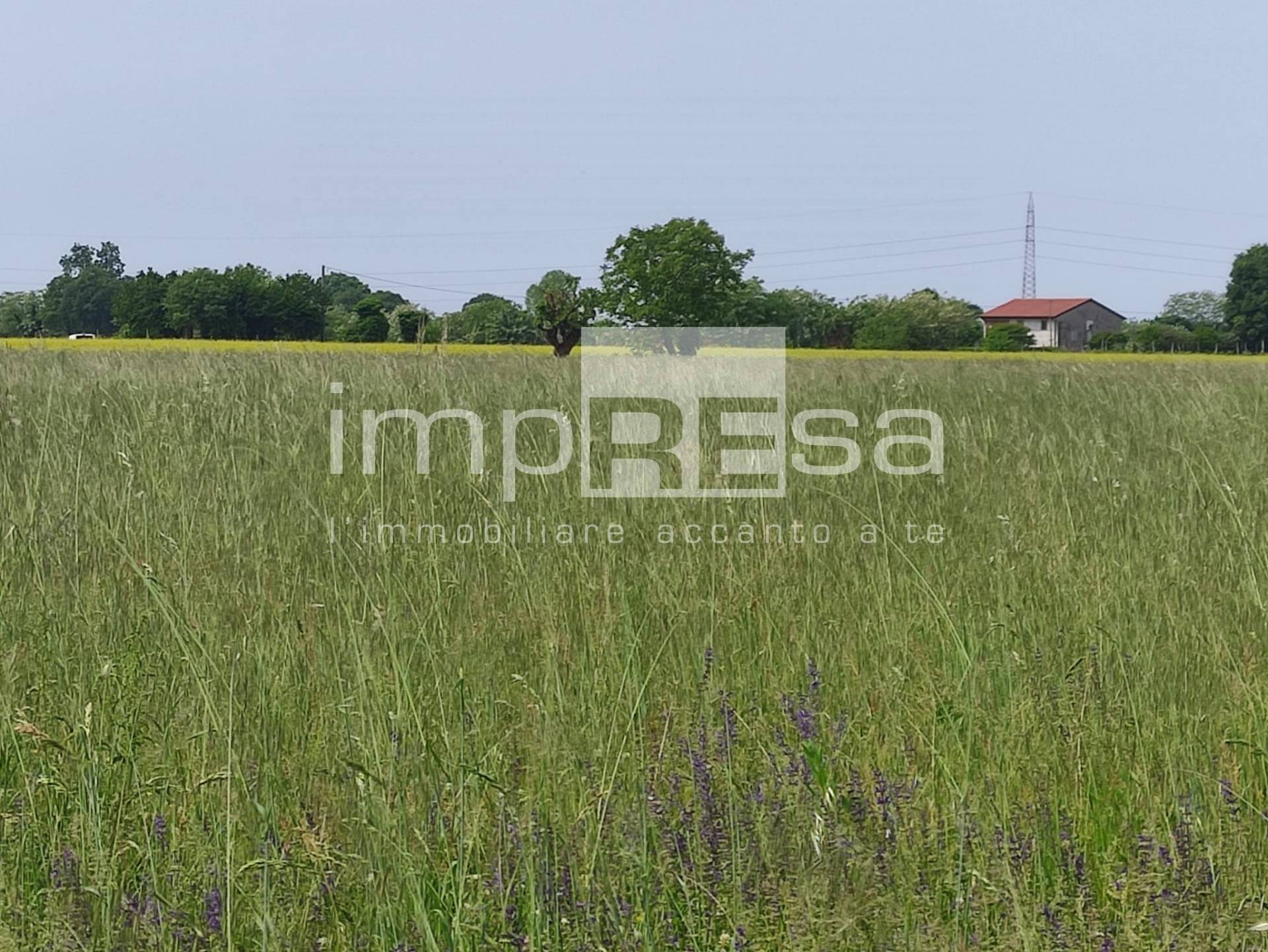 Terreno Agricolo in vendita a Paese, Porcellengo