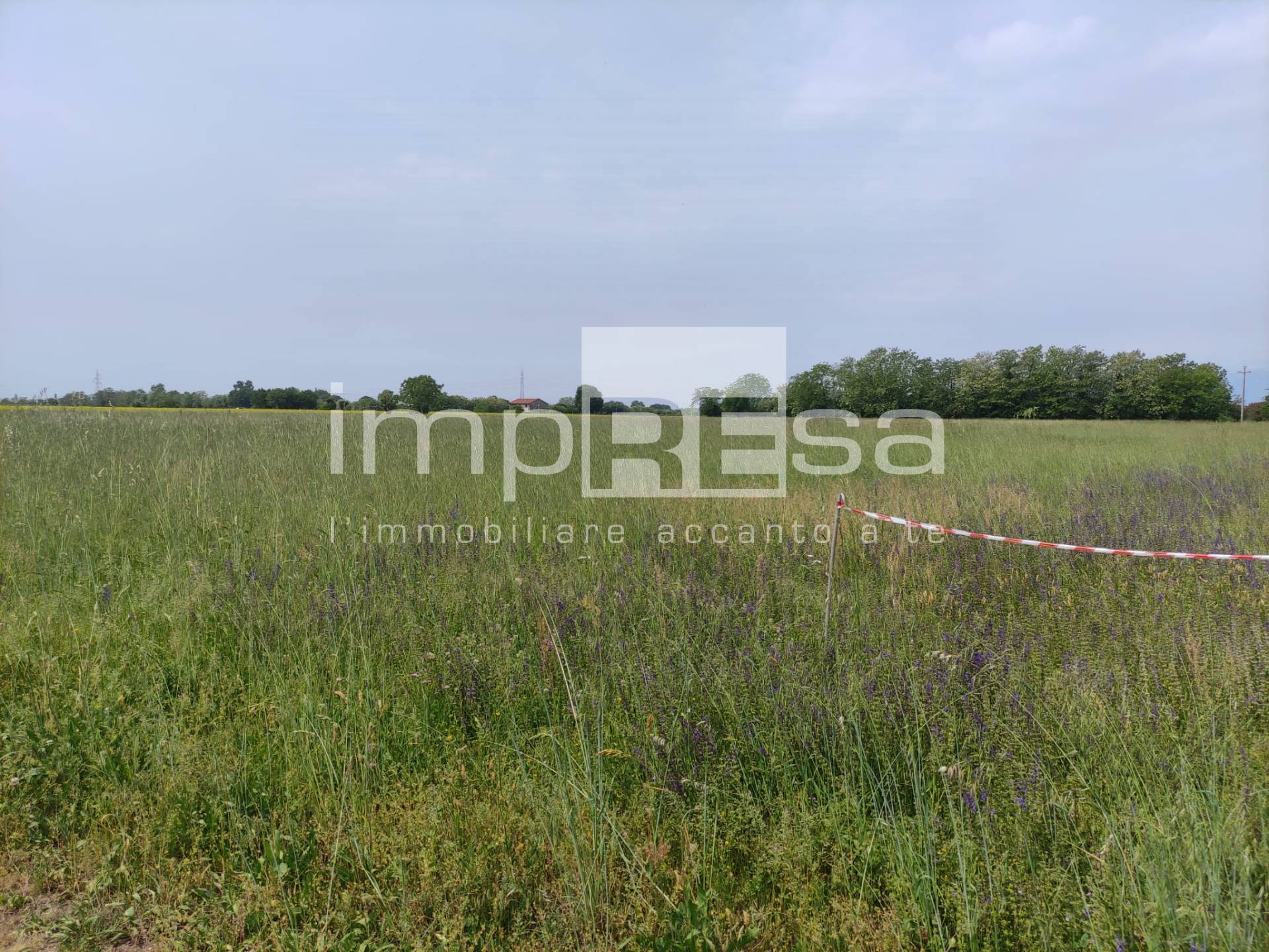 Terreno Agricolo in vendita a Paese, Porcellengo