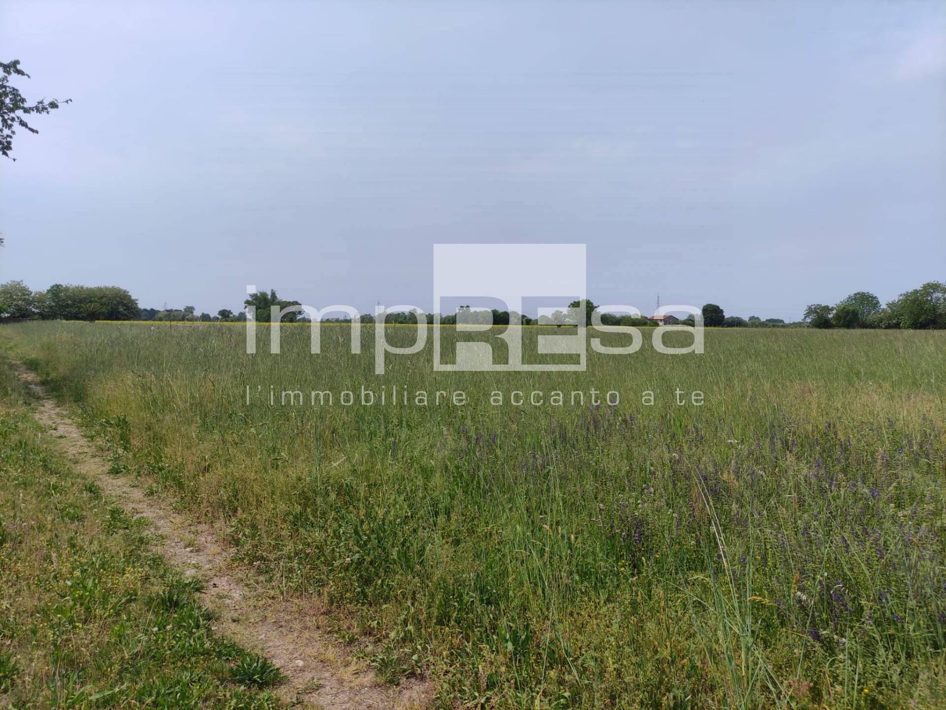 Terreno Agricolo in vendita a Paese, Porcellengo