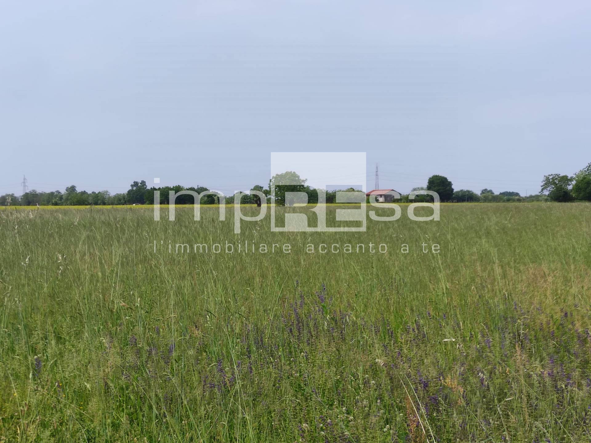 Terreno Agricolo in vendita a Paese, Porcellengo