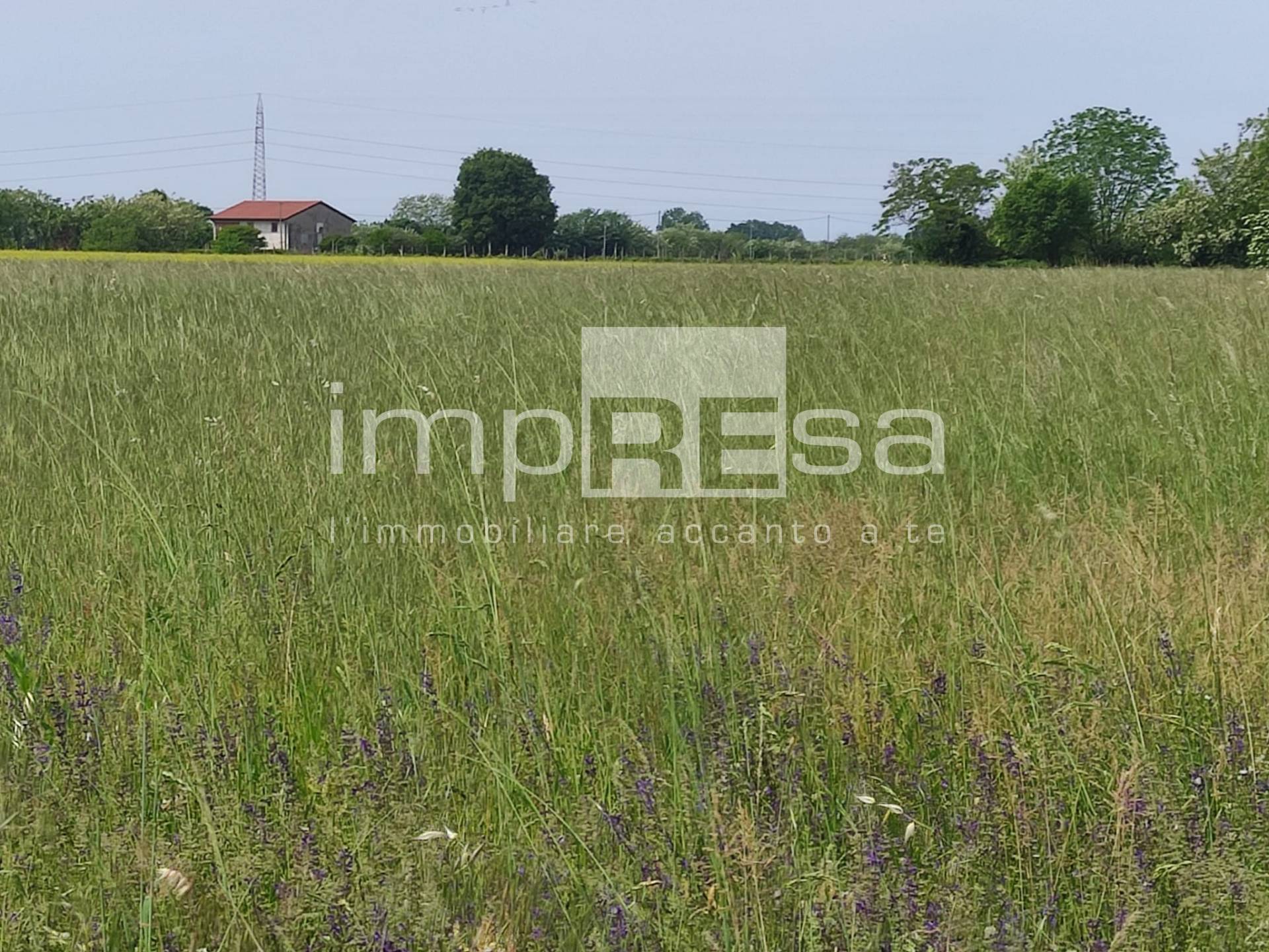 Terreno Agricolo in vendita a Paese, Porcellengo