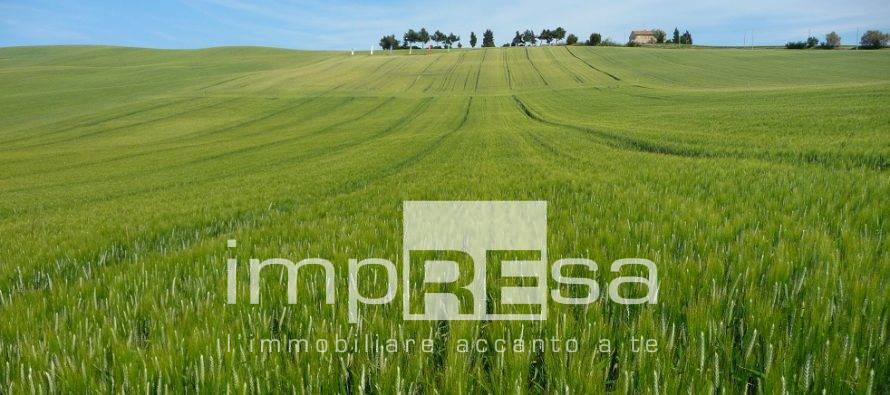 Terreno Agricolo in vendita a Brugnera