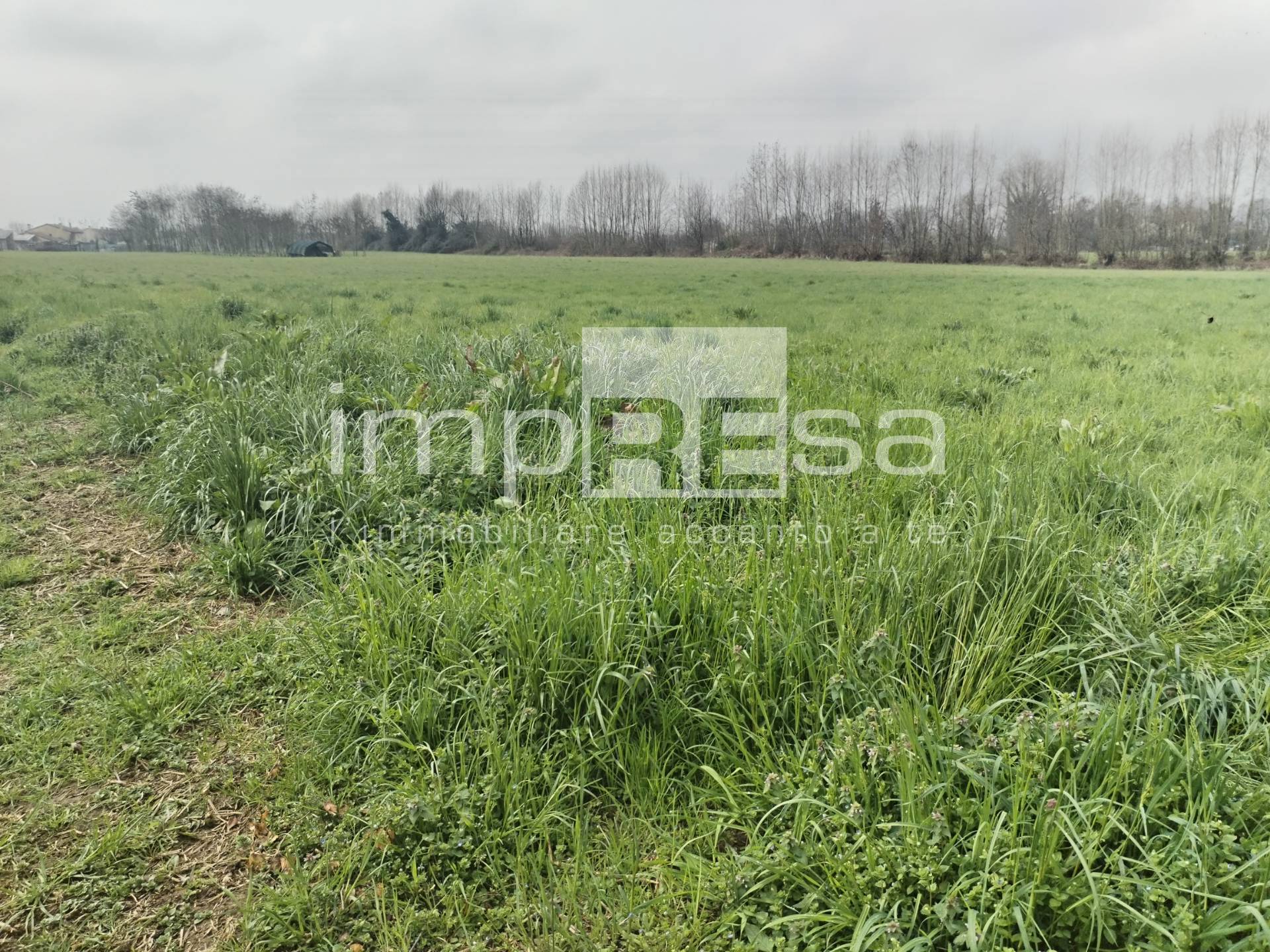 Terreno edificabile residenziale in vendita a Quinto di Treviso