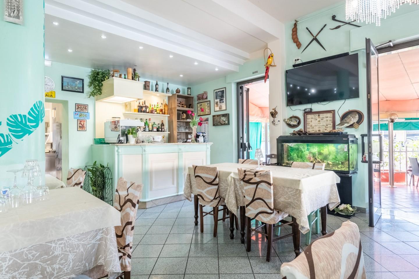 Attivit commerciale in vendita, Vecchiano migliarino