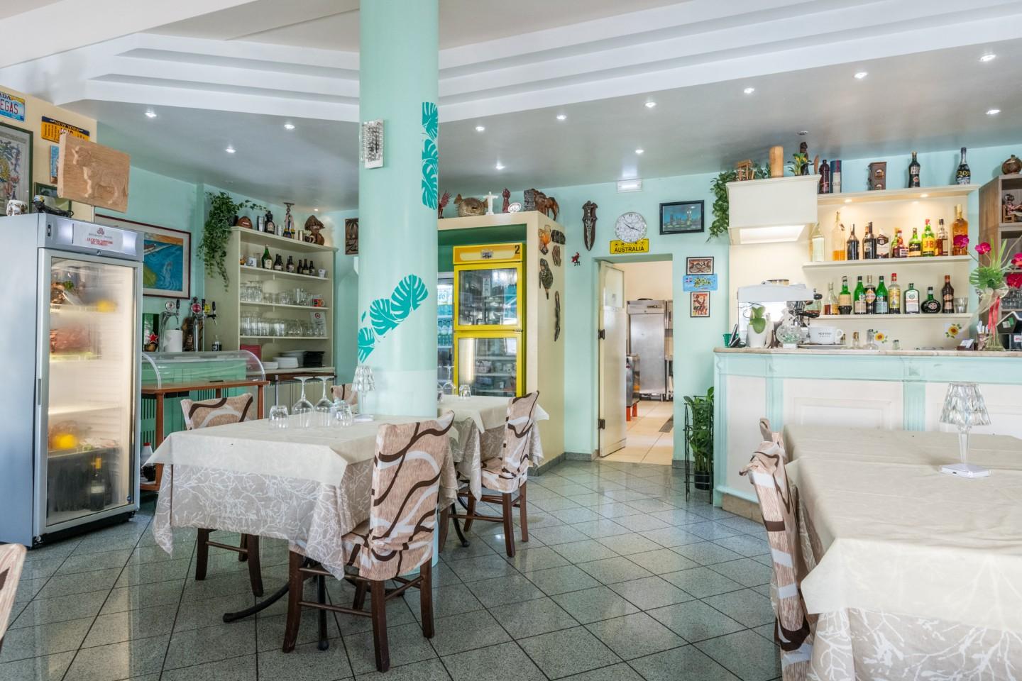 Attivit commerciale in vendita, Vecchiano migliarino