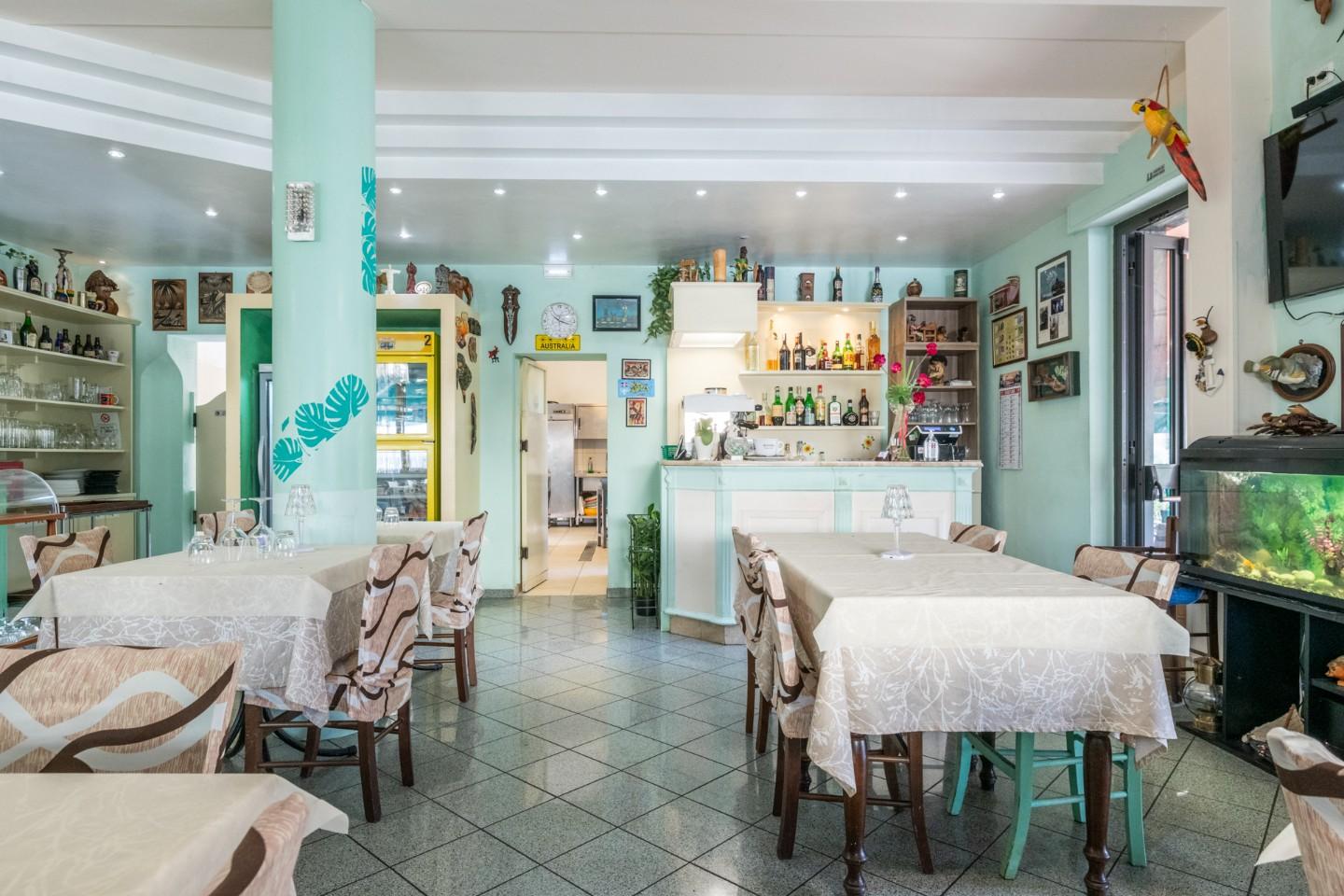 Attivit commerciale in vendita, Vecchiano migliarino