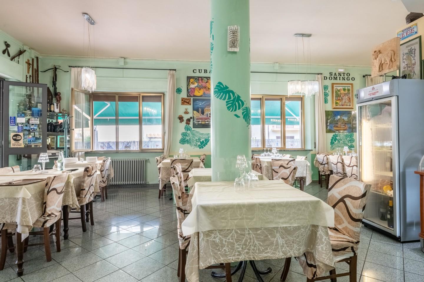 Attivit commerciale in vendita, Vecchiano migliarino