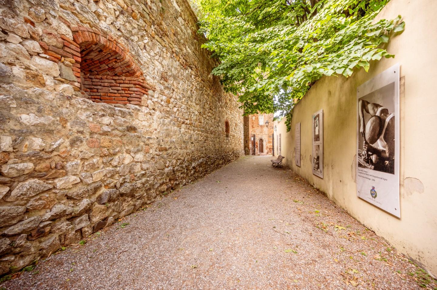 Attivit� commerciale in vendita a Cascina