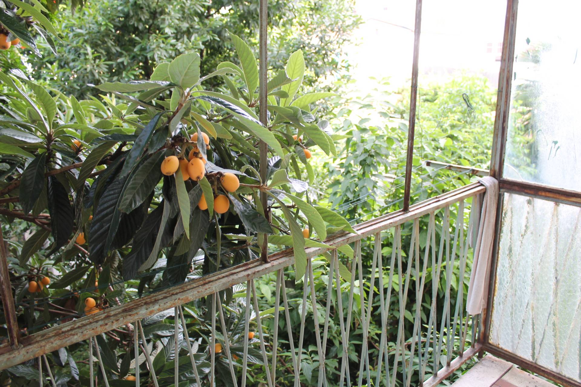 casa mantovana in vendita a Mantova, Centro storico