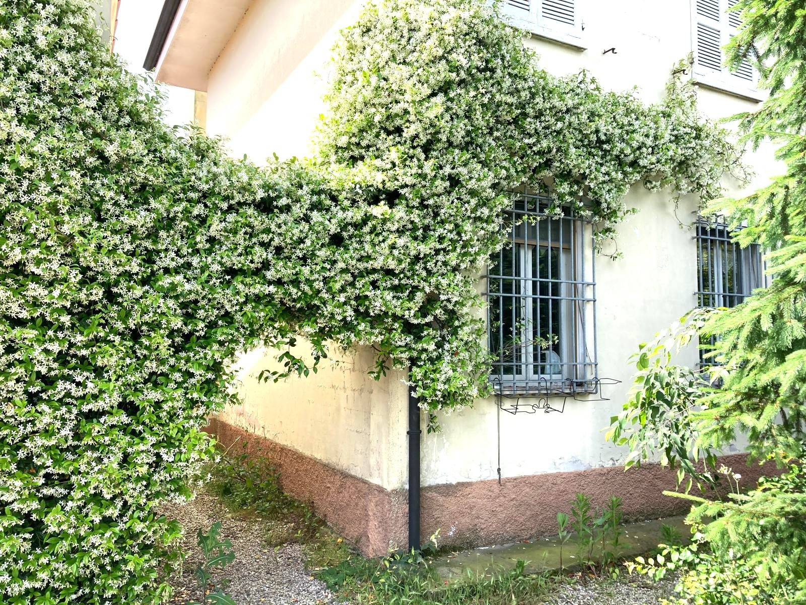 Casa singola in vendita a Curtatone