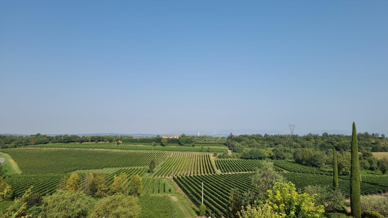 Appartamento con giardino a Pozzolengo