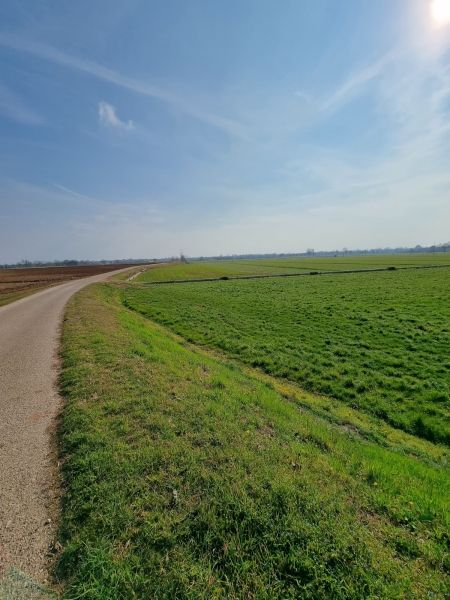 Terreno nuovo a Volta Mantovana