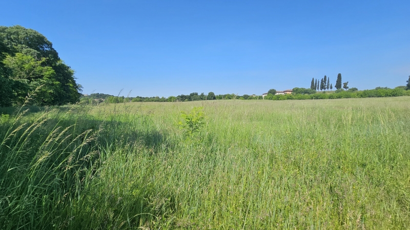 Terreno nuovo a Volta Mantovana