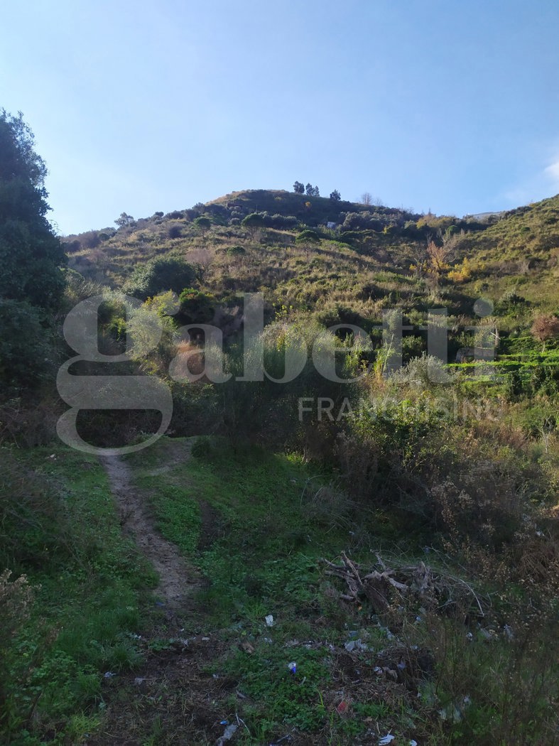 Terreno Agricolo in vendita a Messina