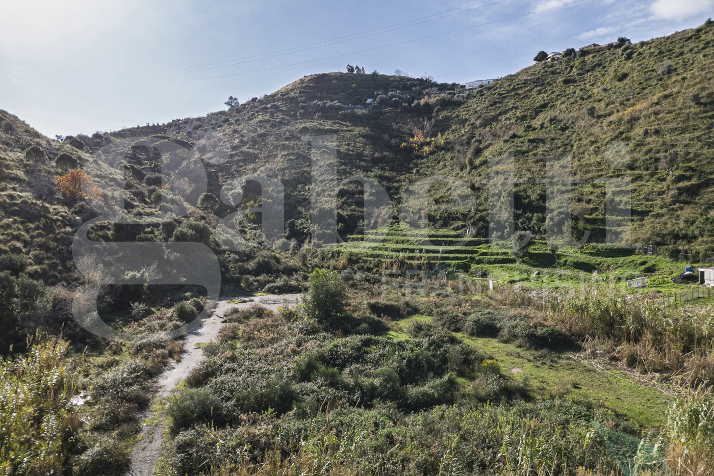 Terreno Agricolo in vendita a Messina