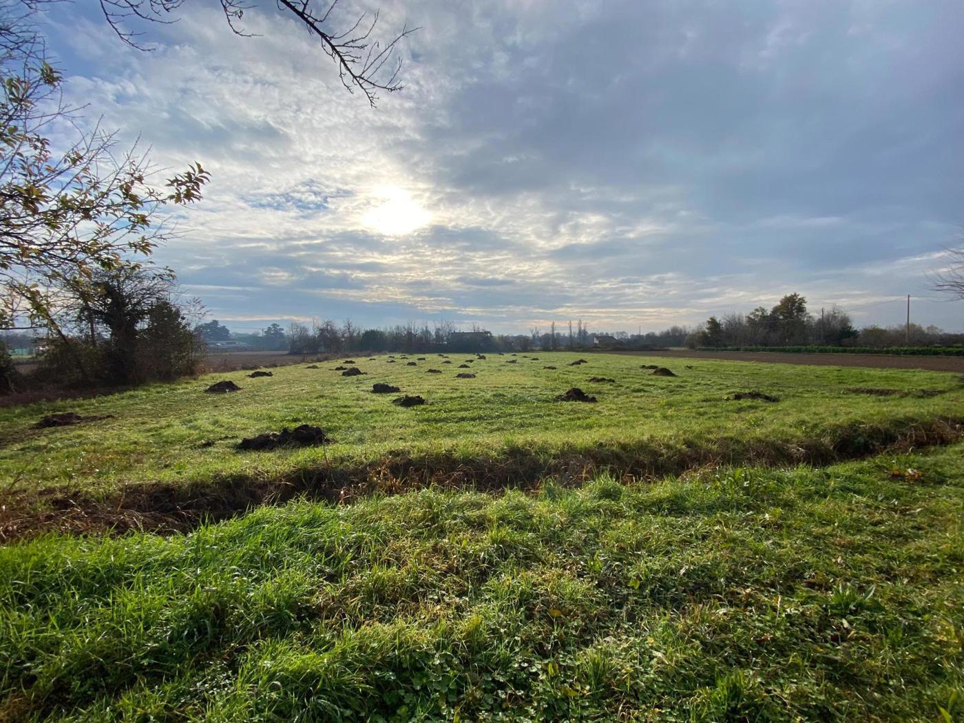 Terreno Agricolo in vendita a Cornaredo