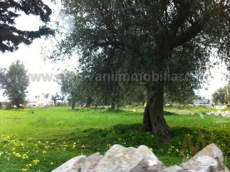 Terreno edificabile in vendita a Pozzallo, Primo Scivolo