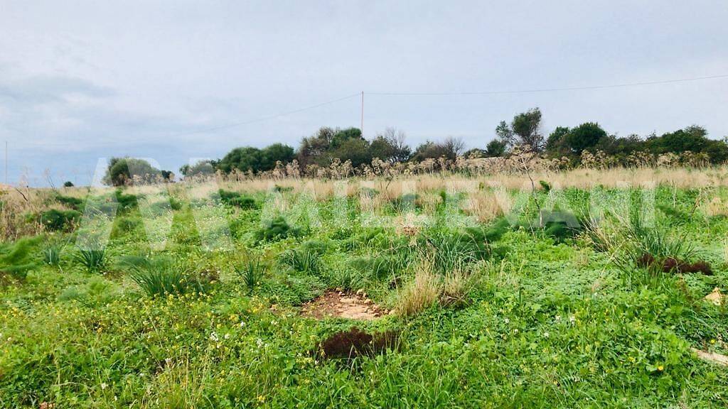 Terreno Agricolo in vendita a Modica