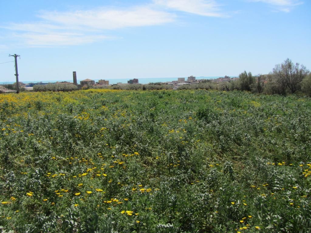Terreno Agricolo in vendita a Pozzallo
