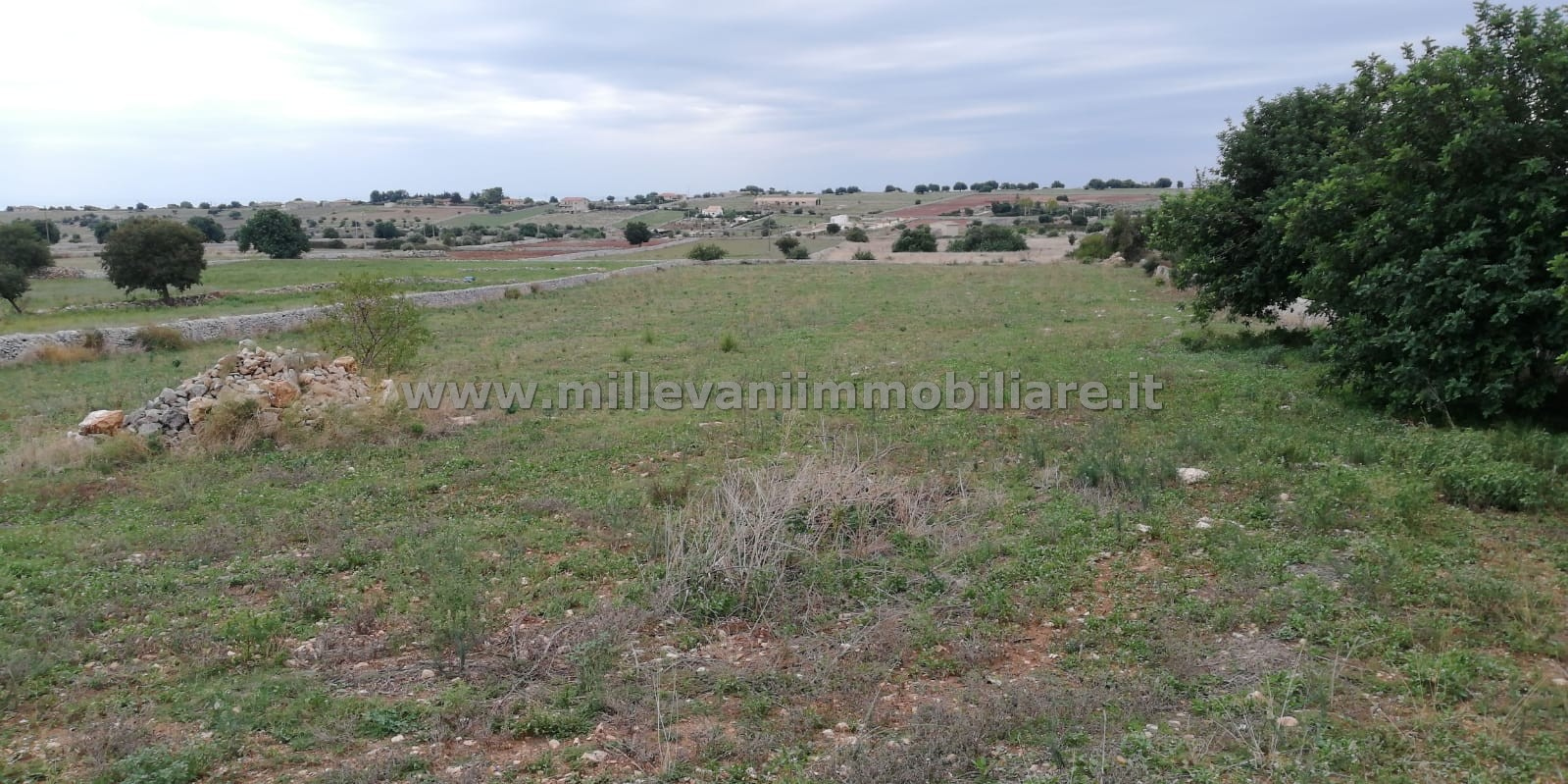 Terreno Agricolo in vendita a Modica