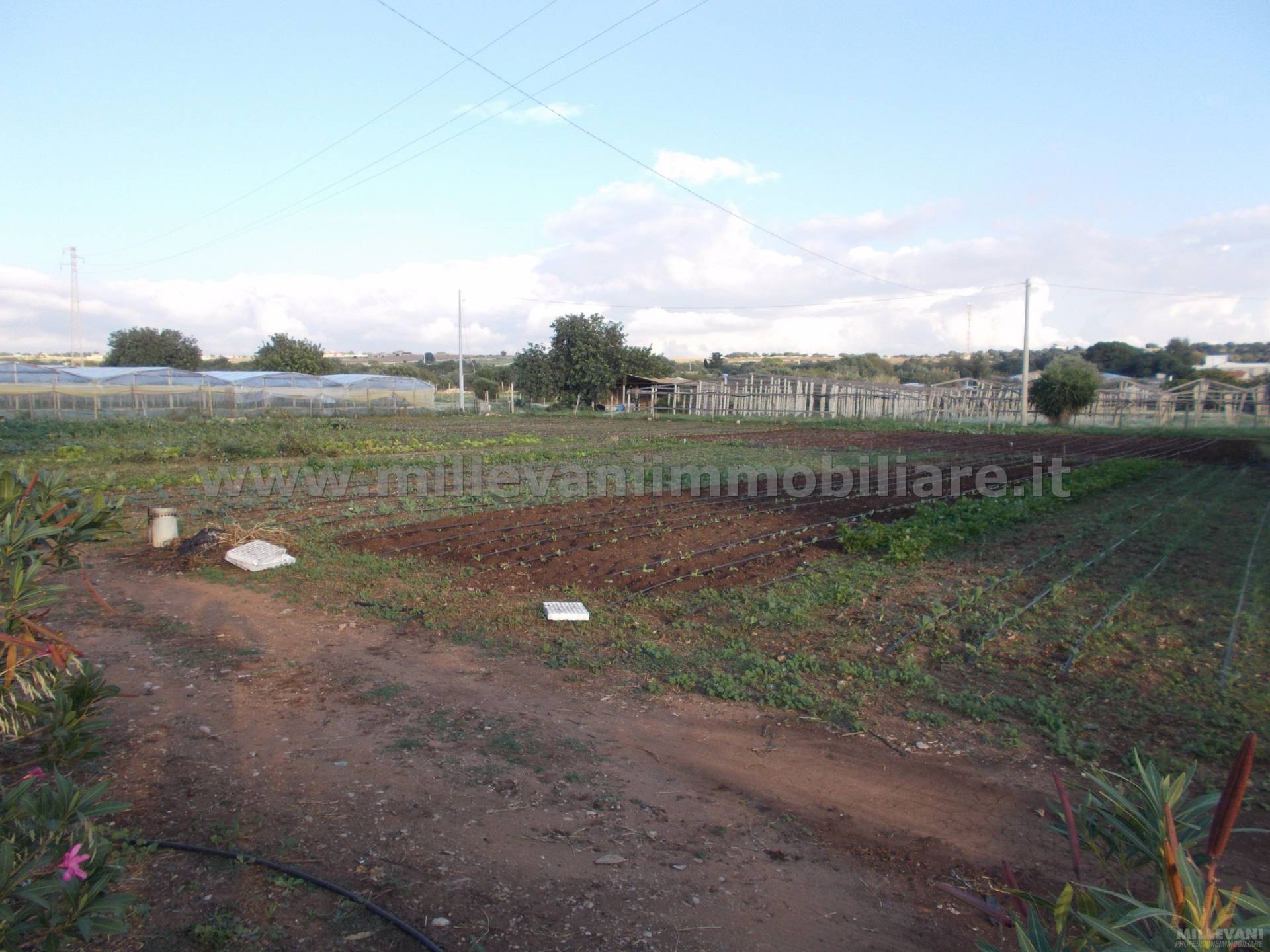 Casa singola in vendita a Santa Croce Camerina