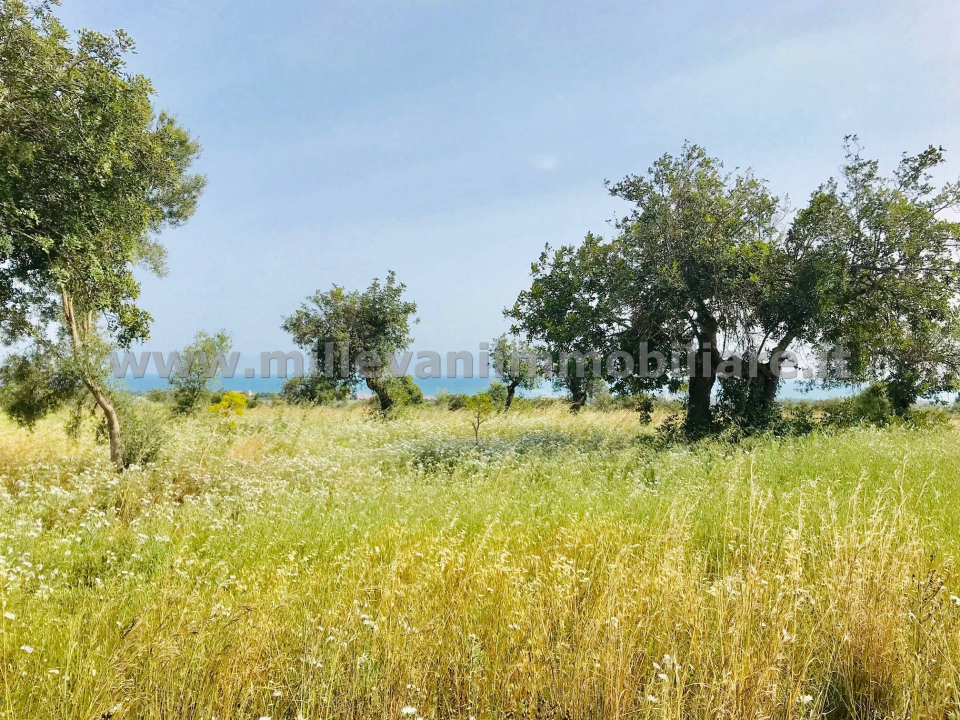 Terreno Agricolo in vendita a Modica