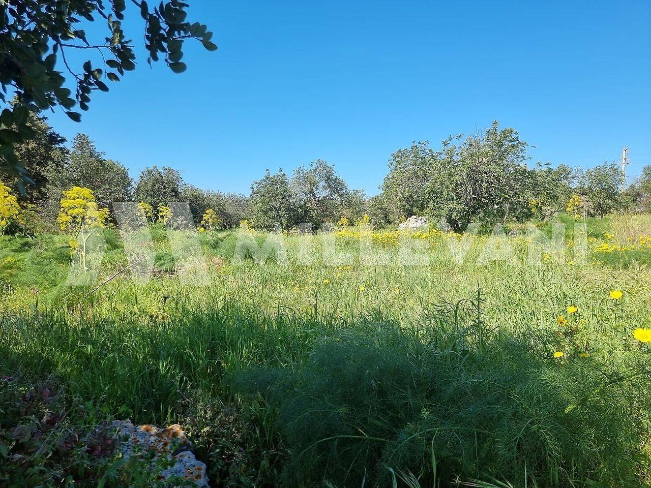 Casale in vendita a Scicli