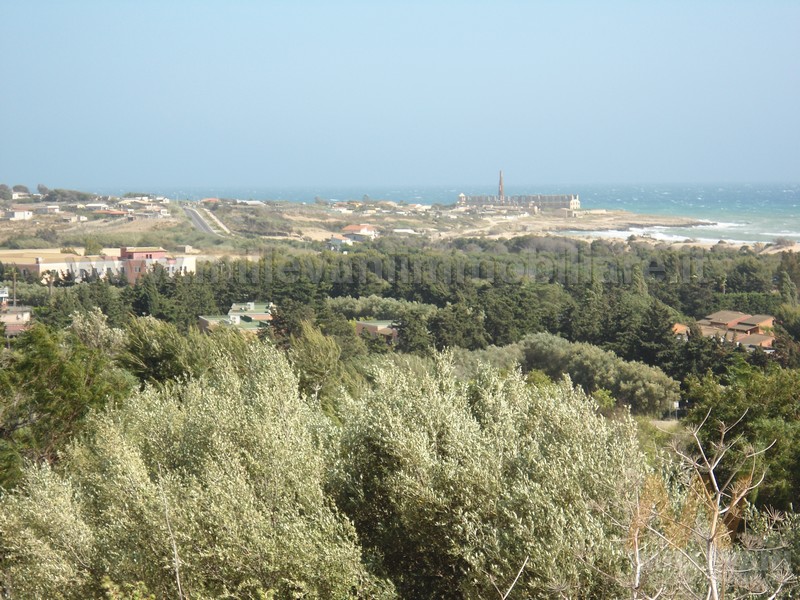 immagine annuncio 3 di 10