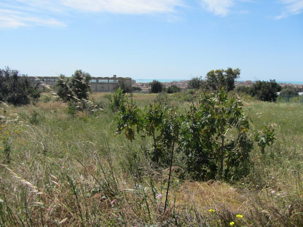 Terreno Agricolo in vendita a Pozzallo