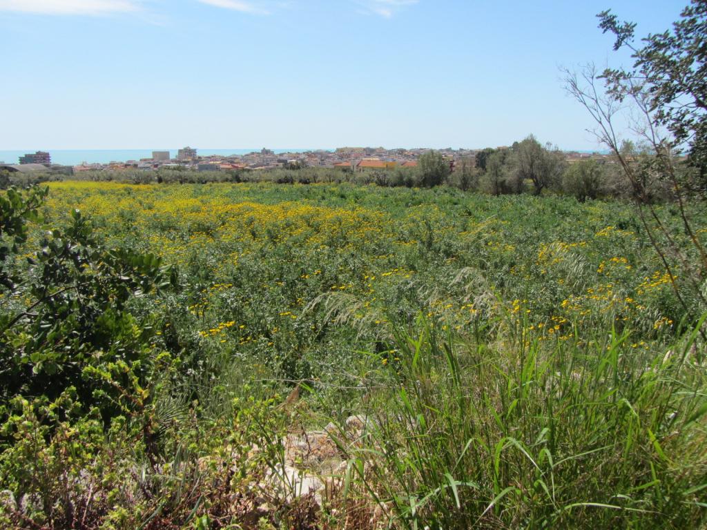 Terreno Agricolo in vendita a Pozzallo