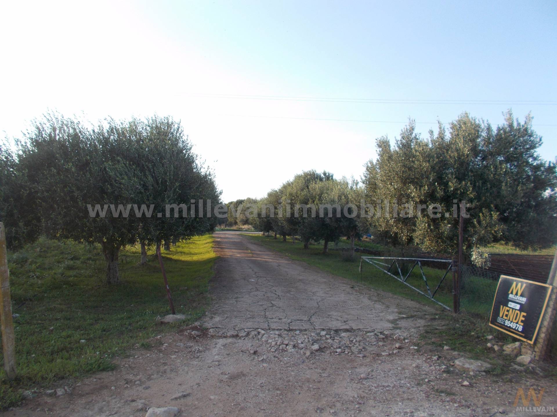 Casa singola in vendita a Santa Croce Camerina