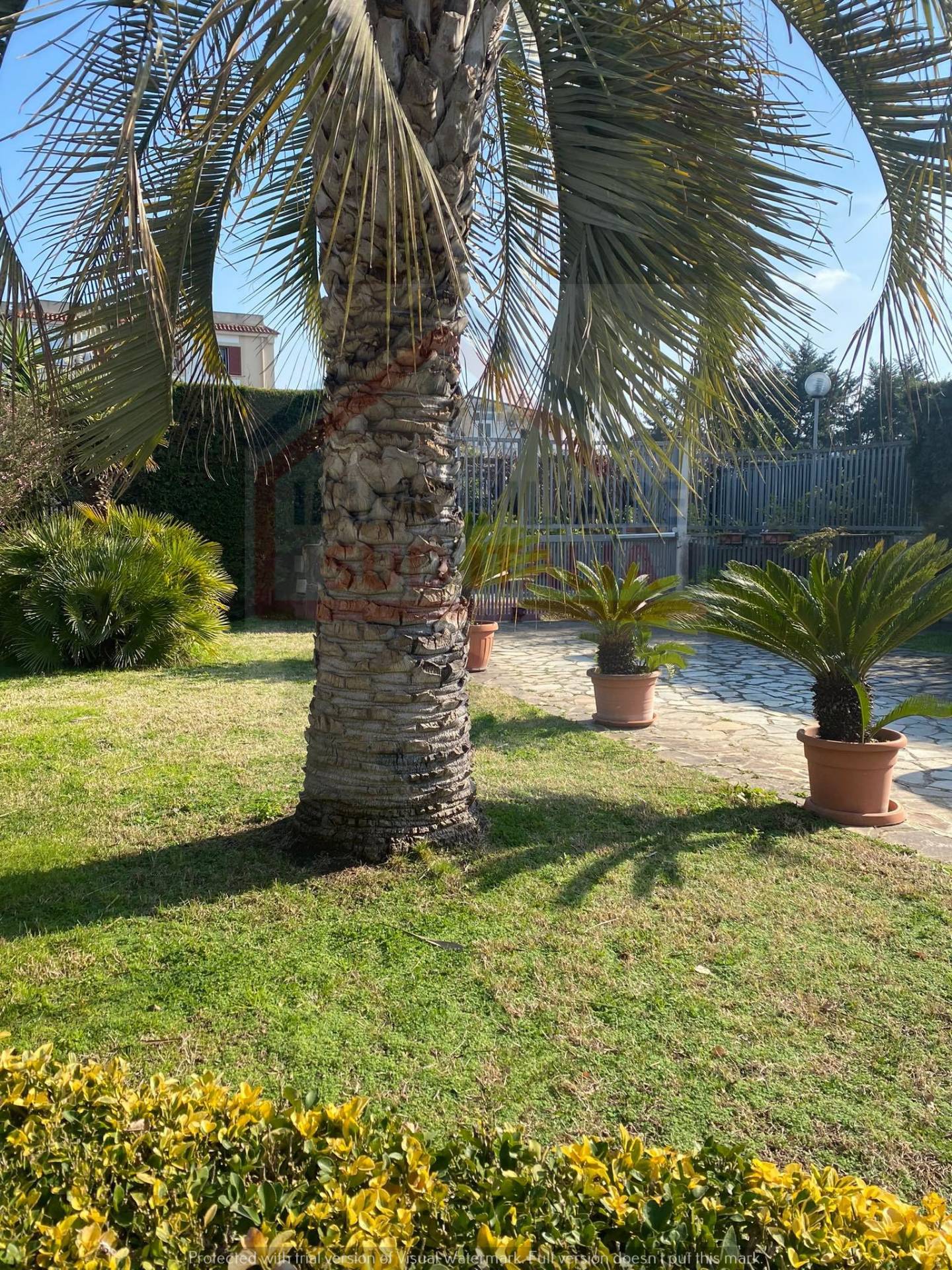 Villa in vendita a Giugliano in Campania, Varcaturo