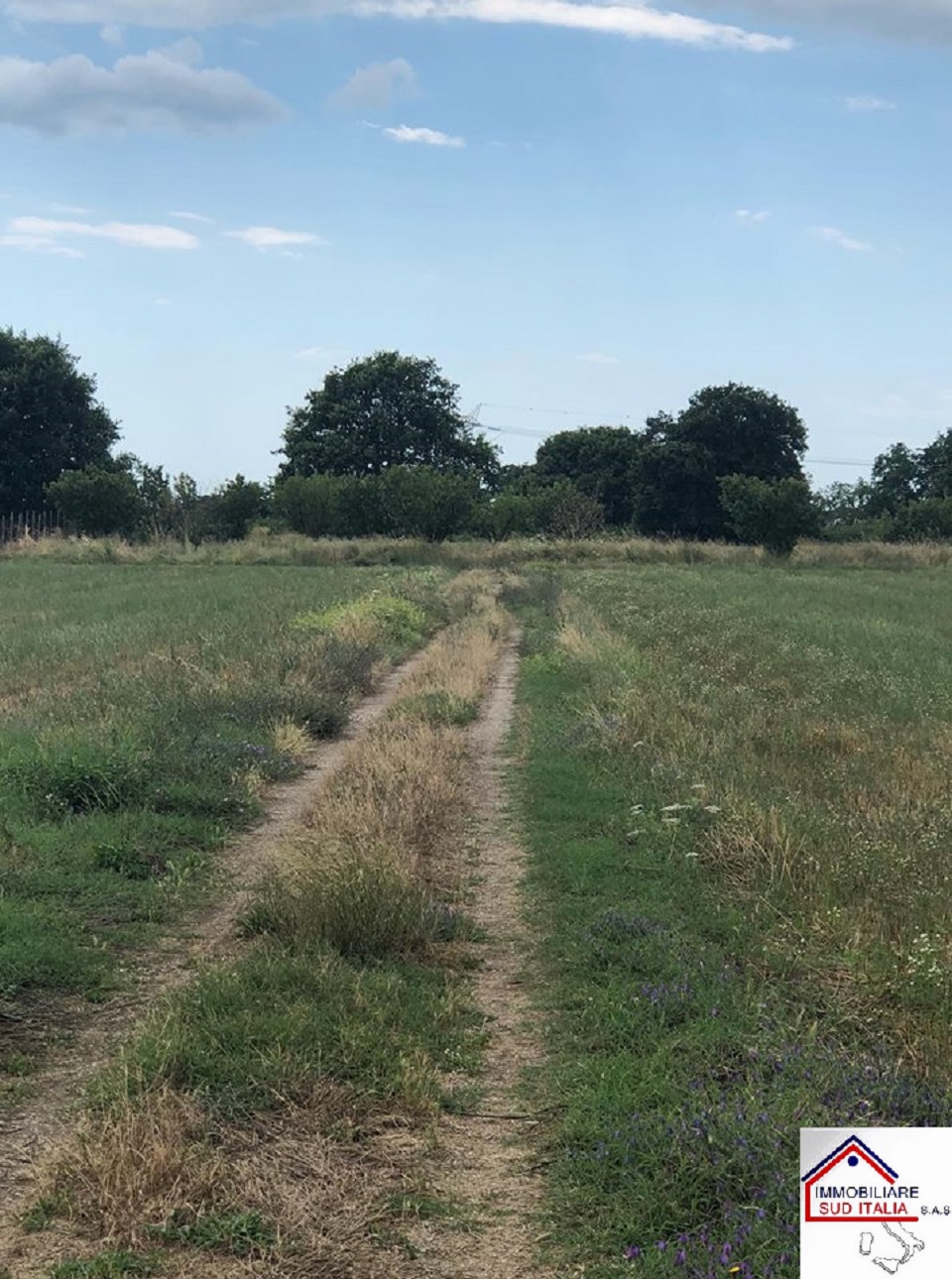Terreno Agricolo in vendita a Qualiano