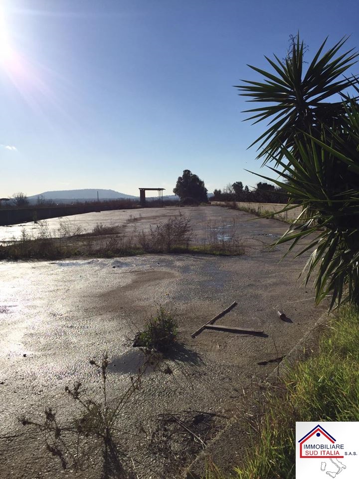 Terreno Agricolo in affitto a Giugliano in Campania, Varcaturo
