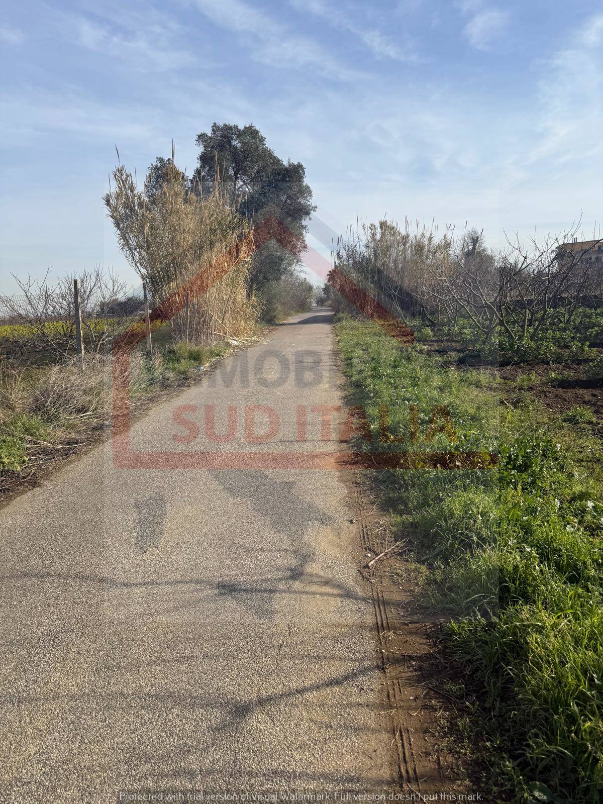 Terreno Agricolo in vendita a Giugliano in Campania, Varcaturo