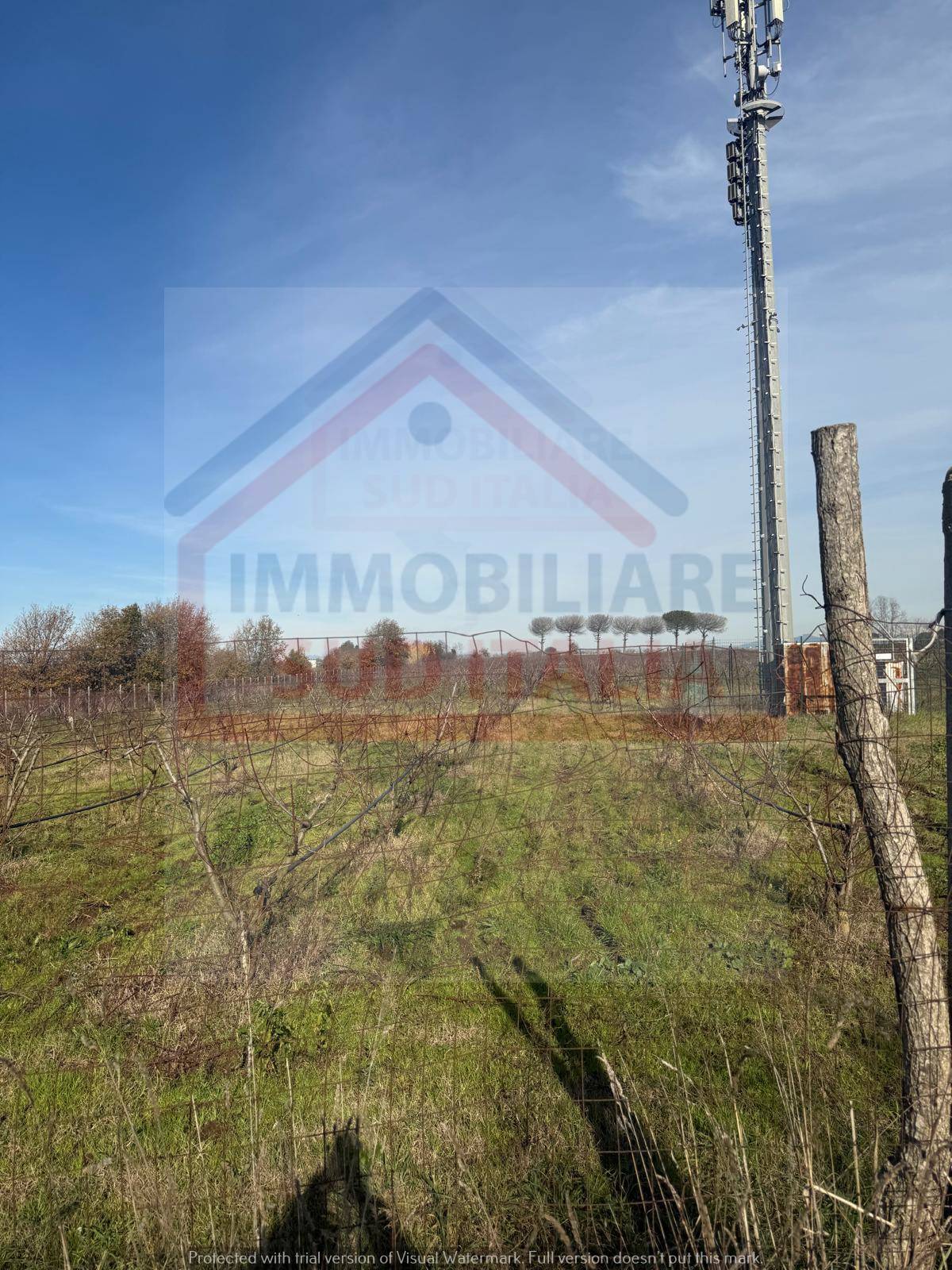 Terreno Agricolo in vendita a Giugliano in Campania, Varcaturo