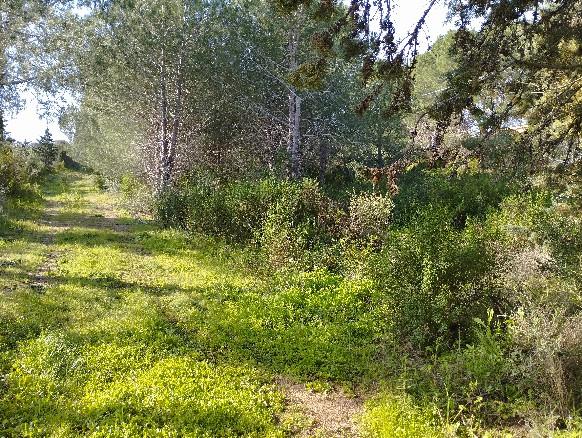 Casa indipendente in vendita, Trinit d'Agultu e Vignola portobello