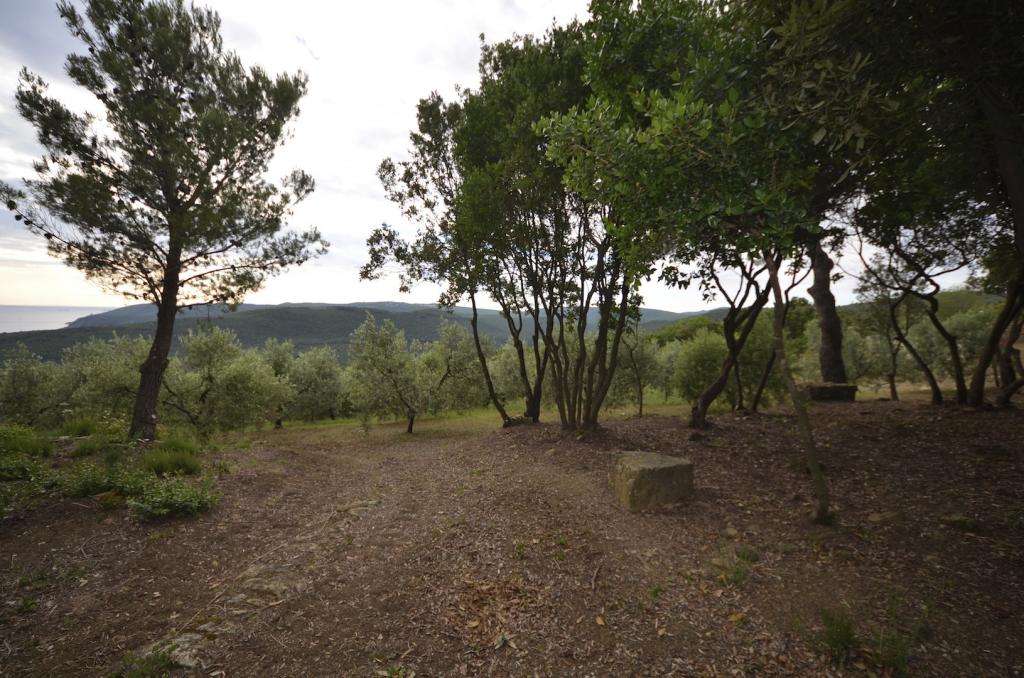 Casa singola in vendita a Rosignano Marittimo