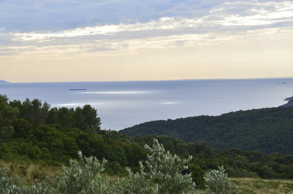 Casa singola in vendita a Rosignano Marittimo