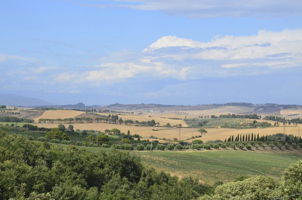 Rudere in vendita a Rosignano Marittimo, Castelnuovo della Misericordia