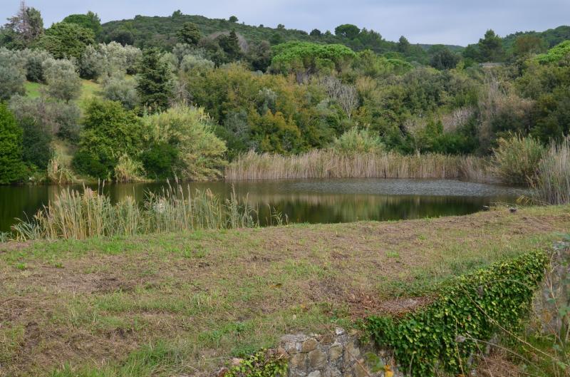 Rudere in vendita a Rosignano Marittimo, Rosignano Solvay