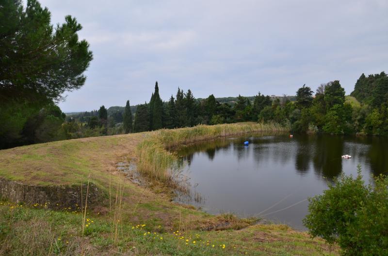 Rudere in vendita a Rosignano Marittimo, Rosignano Solvay