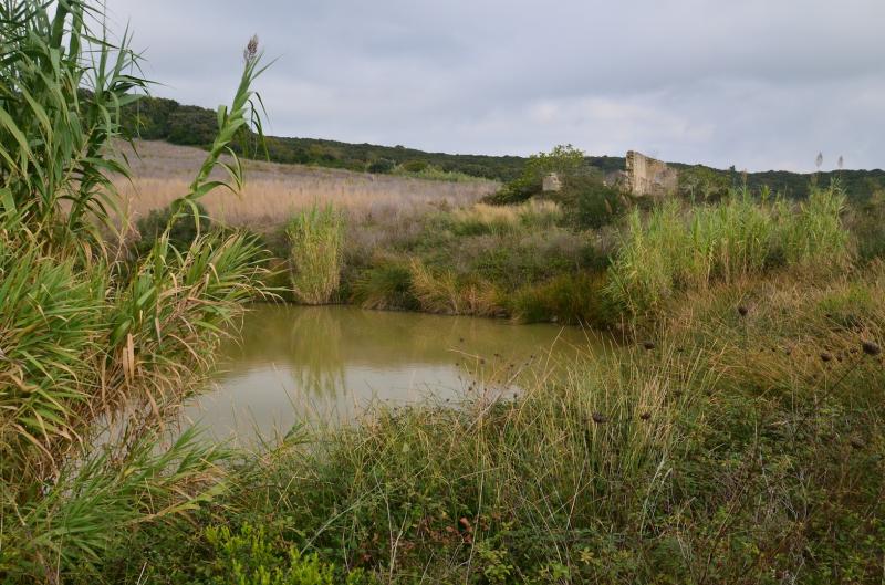 Rudere in vendita a Rosignano Marittimo, Rosignano Solvay